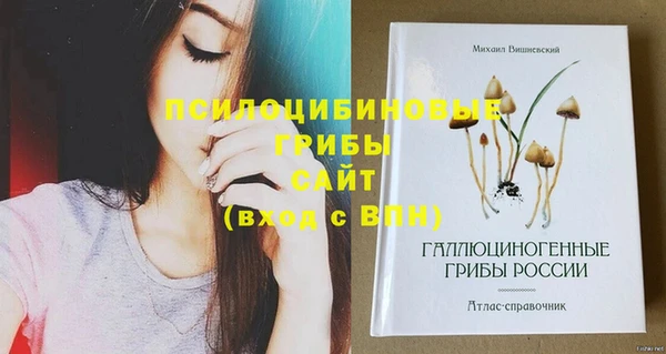 Альфа ПВП Верхнеуральск