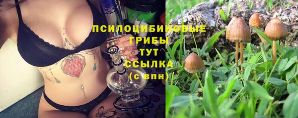 Альфа ПВП Верхнеуральск