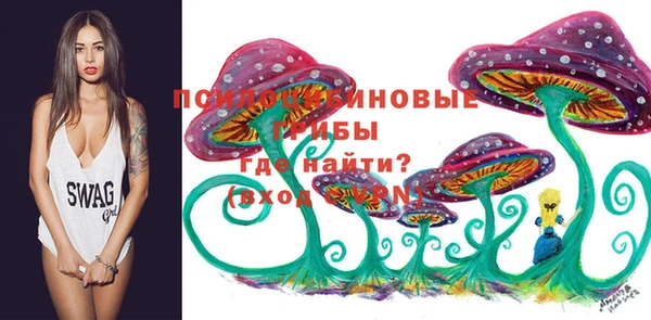 Альфа ПВП Верхнеуральск