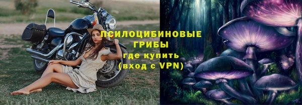 ПСИЛОЦИБИНОВЫЕ ГРИБЫ Верхний Тагил