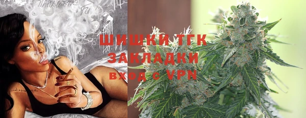 ПСИЛОЦИБИНОВЫЕ ГРИБЫ Верхний Тагил
