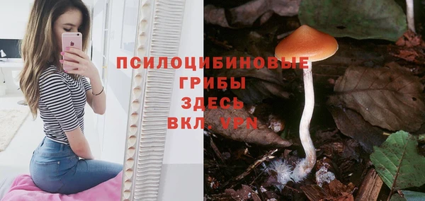 ПСИЛОЦИБИНОВЫЕ ГРИБЫ Верхний Тагил