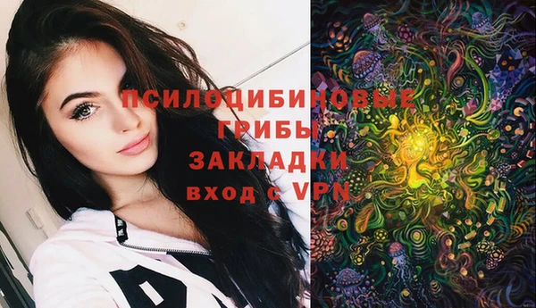 ПСИЛОЦИБИНОВЫЕ ГРИБЫ Верхний Тагил